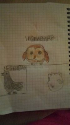 pc9cXg38DxXpeic's profile picture. 