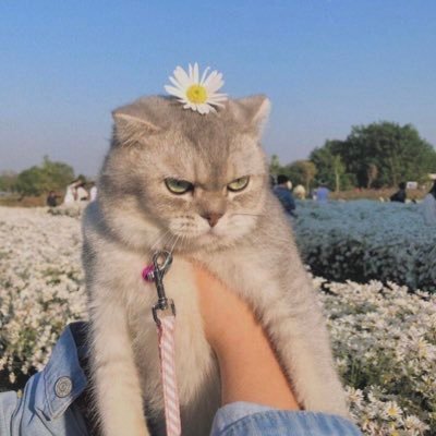 LivingBSNBN's profile picture. 