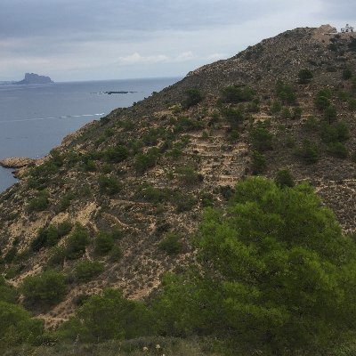 Gezondverstan14's profile picture. Gezond verstand