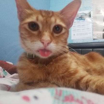 yourrikwon's profile picture. Hanya seorang bucin dari Super Junior dan pecinta SNSD @yoursiwon