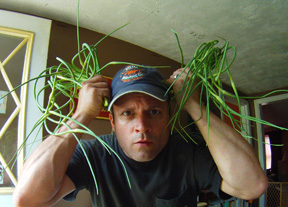 GardenPorn's profile picture. I'm an Artist, Brewer, Creator. I'm also a tireless promoter of growing, living and teaching the reason of urban farming and sustainable living...