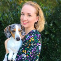 Ava Jaine | Dachshund Station(@DachshundStati1) 's Twitter Profile Photo