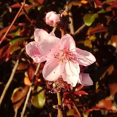 AllecAngie's profile picture. The never-ending love of God. 
El amor eterno de Dios.