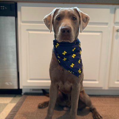 jastrobytheway's profile picture. We are the music makers, and we are the dreamers of the dreams