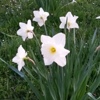 HeldderArbeit2's profile picture. Folgen sie mir nicht.