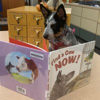 Jeanine Boyett (@gisdreads) 's Twitter Profile