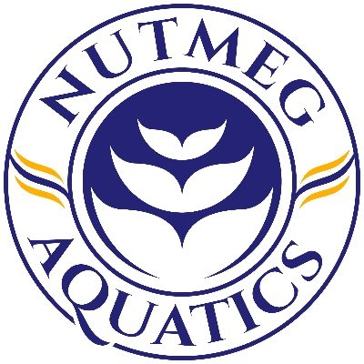 Head Coach, Nutmeg Aquatics | Head Swimming Coach, East Lyme Vikings | Aquatics Director, East Lyme Schools