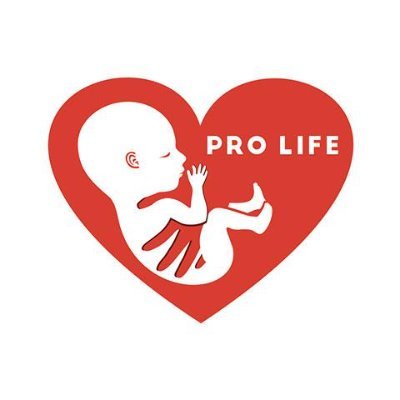 We are pro-life activists who believe that abortion is a terrible act and should be stopped we protect lives of the pre-born. We are the voices for the pre-born