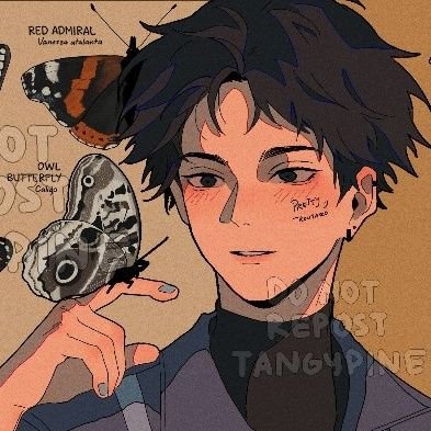 - ;; 𓏲 ≀ 𝗴𝗶𝗿ls __ 𓏲୭ ??? 𝟯!!꩜ pfp: @tangypine