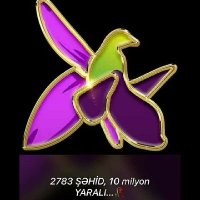 Nara🇦🇿🇹🇷 (@nare__01) 's Twitter Profile