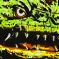 𝙁𝙊𝙍𝙂𝙊𝙏𝙏𝙀𝙉_𝙑𝘾𝙍 (@forgottenvcr) 's Twitter Profile Photo