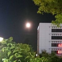 Am〔オルタ〕 (@fatalalter) 's Twitter Profile