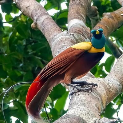 AhmetKe68880098's profile picture. Herkes çok şey bilir ama gerçeği kimse bilmez