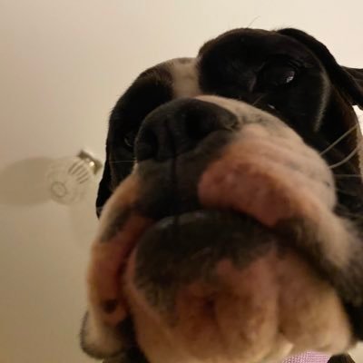 NinaKoos's profile picture. gvsu24