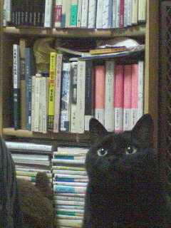 kinoc00's profile picture. 