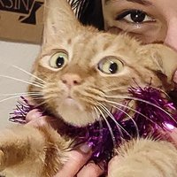 IRMAKMAKMAK (@irmakmakmak) 's Twitter Profile Photo