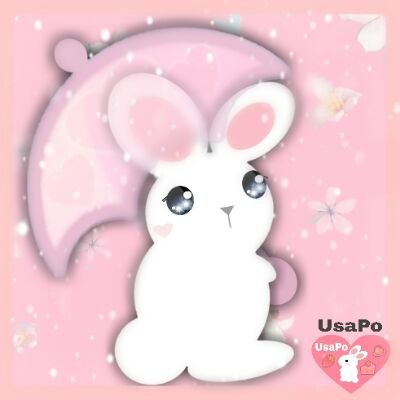 うさぽ☆ウサギの音楽家【UsaPo Official】さんのプロフィール画像