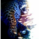 Martha Pulido - @mar_degatito - Twitter