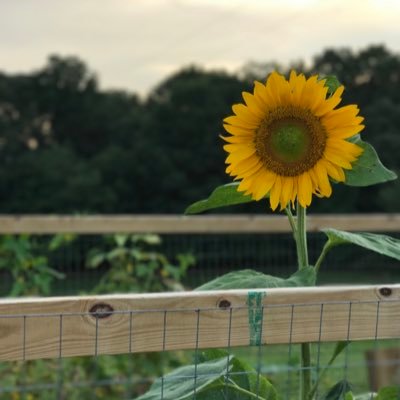 ATW9233's profile picture. 