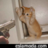 adriplop's profile image