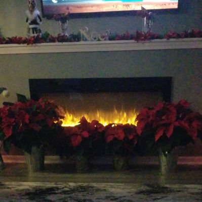 Tim49650788's profile picture. everything