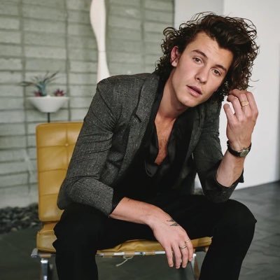 mendesgirl101's profile picture. I love to sing and I love Shawn Mendes❤️🎤🎼