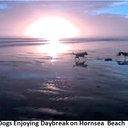 Ian Kaye wwbooks - @wwbooks - Twitter