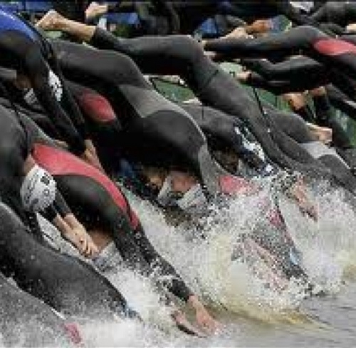 fredytri's profile picture. 