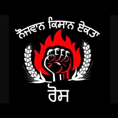 LovedeepJohal4's profile picture. Straight forward belong to PB03