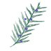 Juniper Literary Magazine (@juniperlitmag) Twitter profile photo Juniper Literary Magazine (@juniperlitmag) Twitter profile photo