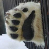 tomorrow56(5/4-5 函館行きます) (@tomorrow56) 's Twitter Profile Photo