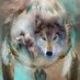 Francisco Jasso (@pacojassocastro) Twitter profile photo Francisco Jasso (@pacojassocastro) Twitter profile photo