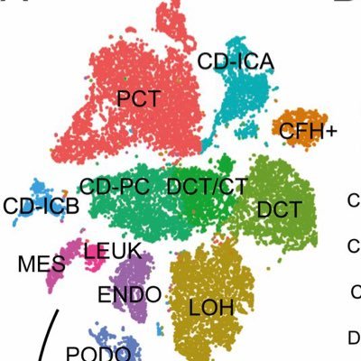 Single Cell Media Profile