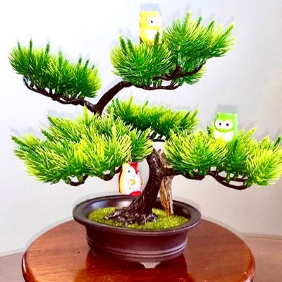 RajMangat14's profile picture. 