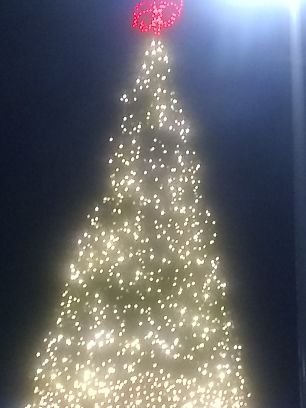 JeremyT16520842's profile picture. 