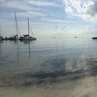 MiyuWeb's profile picture. Web制作勉強用アカウント
目標 : Web制作の副業をし、スキルアップを目指す！
趣味 : 旅行(早く海外旅行に行きたいです！)