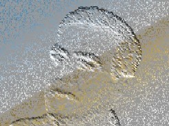 ElvioArruda1's profile picture. Liberdade não se pode ter, pois, liberdade..é livre, e não se atém a individualidades, pensar é bom, quem reflete, brilha !