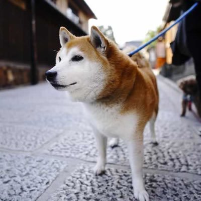 thCLfaC9JOzjo3R's profile picture. 