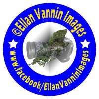 Ellan Vannin Images 🏍📷🏁🇮🇲🇺🇦(@EllanVanninImag) 's Twitter Profile Photo