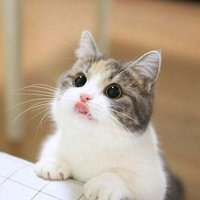 ❥Omania..❤️🇴🇲 (@omania2xxx) 's Twitter Profile