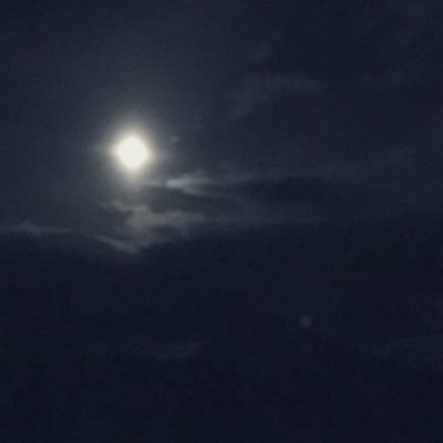 dokkanotomyo's profile picture. 女 20 社会人復帰した そう私はメカロ