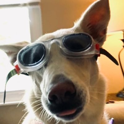 sydshug's profile picture. a place of spewing garbage and making bold statements