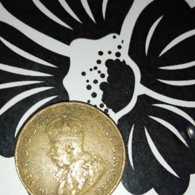 Mccarthy1913's profile picture. OVO❤️