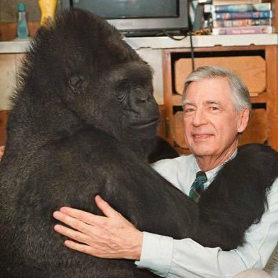 RIP Koko the gorilla (1971-2018). Koko want democracy 🇺🇸