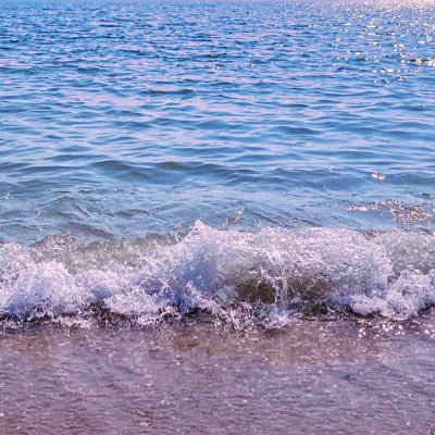 L115iEgNVQoiC3W's profile picture. 