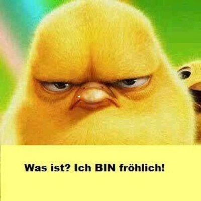 RappoltMarion's profile picture. 