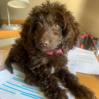 lane2810's profile picture. A Shropshire lass. Sadly, society has now become so fake that the truth often offends.🇬🇧💙