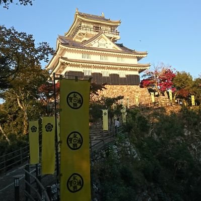 ganbon1996's profile picture. 専門は日本政治。