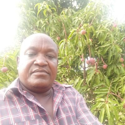 1st member of county assembly, Kibauni ward, Machakos county. Chairman Environment,energy, lands and natural resources.