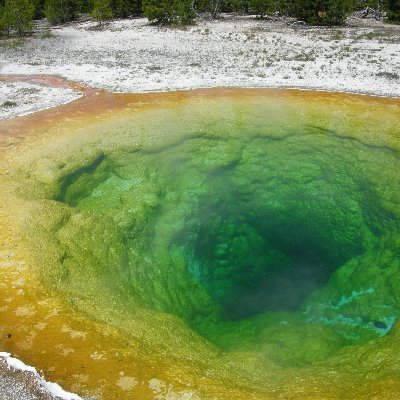 PuyhardyF's profile picture. La Différence entre le possible et l'impossible se trouve dans la détermination (GANDHI)/nul n'est trop pauvre pour n'avoir rien à partager